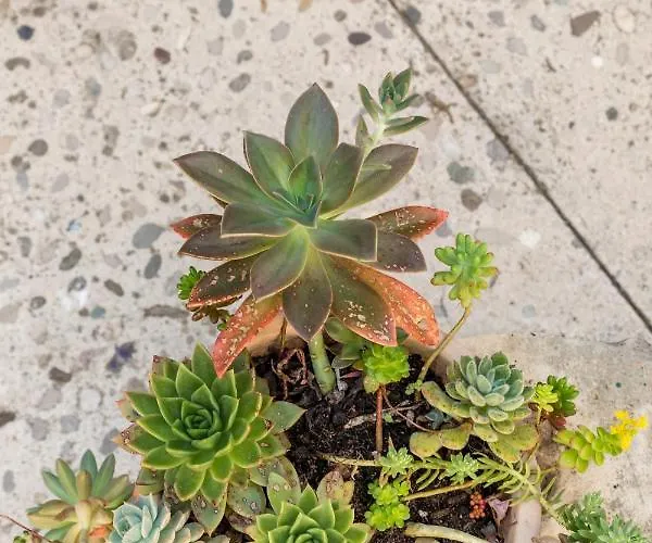 Luxury Silvana With Beautiful Garden 3*