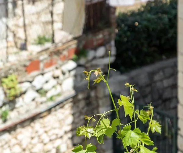 Luxury Silvana With Beautiful Garden Split