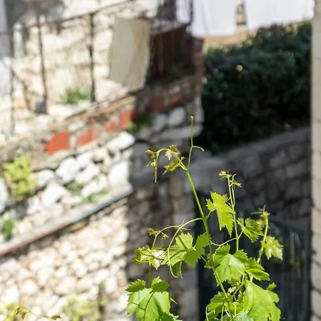 Luxury Silvana With Beautiful Garden Spalato